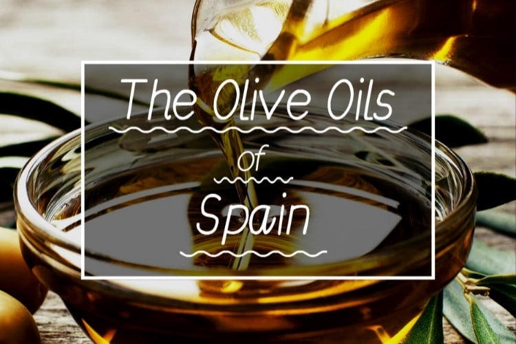 OLIVE OILS OF SPAIN COVER